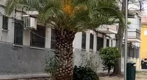 Villamadrid Home - Image 5
