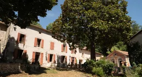 La Selva - Image 2