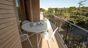 4B B&B - Image 4