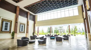 Crest of Joy - Wind Residences Tower 5 Unit 2018 - Image 3
