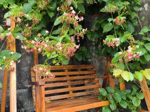 Zijin Yuji Homestay - Image 5