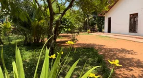 Beliya Rock View - Image 3