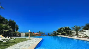 Finca Vino Tinto 2 - Image 3