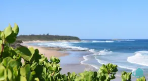 Caves Beach Retreat Apartment - Image 4