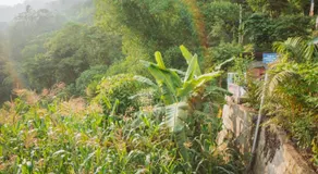 Bambi Farmstay - Image 2