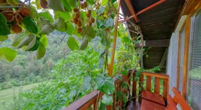 Cottage surrounded by forests - The Sunny Hill - Image 3