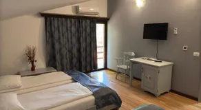 Casa de vacanta TARA - Image 2