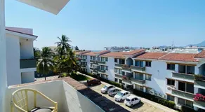 Cocotero Manzanillo - Image 2