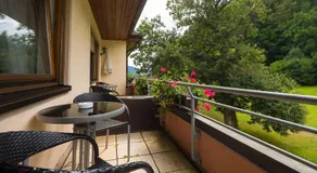Landgasthof Kinzigstrand - Image 5
