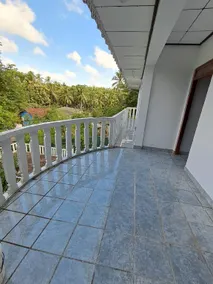 Palms and Paradise - Image 3