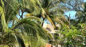 Hotel Rosa de los vientos - Image 2