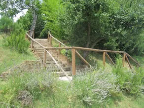 Agriturismo le Spighe - Fattoria Bertaccini - Image 3