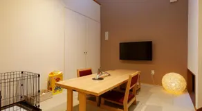 Shushu - Image 3