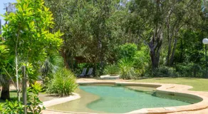 Port Stephens Koala Sanctuary - Image 4