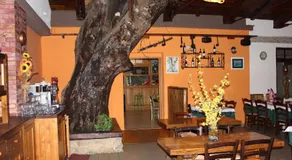 Albergo Ristorante Montecucco da Tobia - Image 4