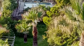 Georgia Seaside Villa - Image 2