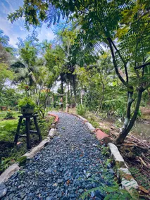 Bến Tre Homestay - Image 5