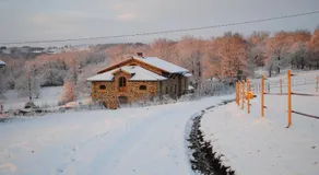 Domaine de la Poyat - Image 4