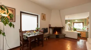 Alle Robinie - Image 2