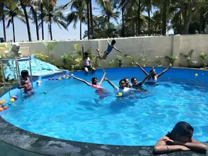 Tigers home stay - Image 3