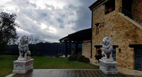 La tana dei leoni - Image 4