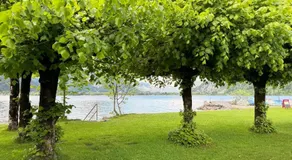 Double Room by Interlaken. Parking - Image 2