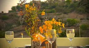 Soma Jawai - Image 5