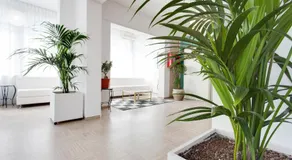Hotel Bristol - Koolibry Hotels - Image 5