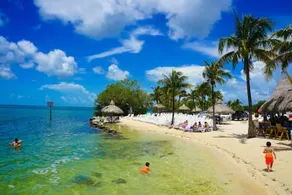 Vacay Spot experience Luna Sky! 65" TV BAR, BBQ, SHOWER massage jets, music, go to FL Keys - Image 4