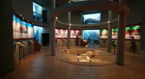 Apartamento María Mendoza - Image 5