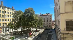 Le soyeux - Image 5