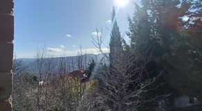 Αετόπετρα - Image 5
