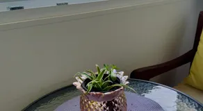 Apartman Vasanija - Image 5