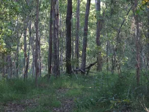 Bungadoo Country Cottage - Image 5