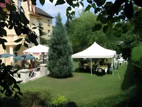 Walzer Hotel - Image 5