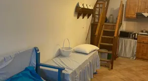 PALATINO - Image 5