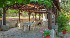 Pension Assos - Image 5