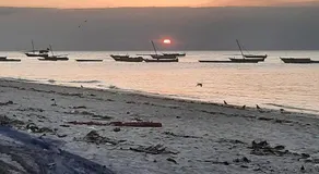 Ames Nungwi - Image 3