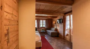 Family-Apartment Du Lac - Image 5