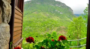 Sol de Asturias - Image 4