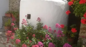 Casa Luar - Image 5