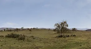 Manna Tree Farm -modern home with majestic views in stunning countryside - Image 3