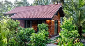 Cinnamon Cottage Near Colombo Intl Airport - Image 3