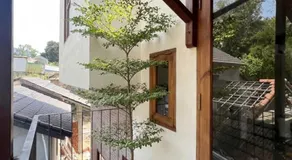 Sum Homestay Hue - Gần cầu Nguyễn Hoàng - Image 4