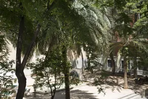 Plaza del Carmen in Valencia - Image 2