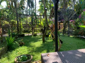 Studio Lumbung - Image 5