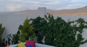 Little Green Farm - Image 4