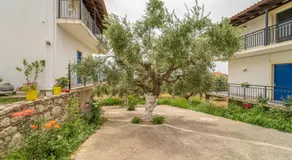 TERRA OLIVO APARTMENTS - Image 5
