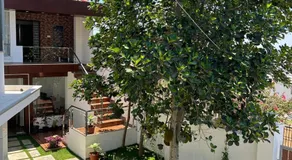 Sapphire Stayss - Image 3