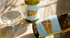 Gästezimmer Weingut Dr Oberhofer - Image 3